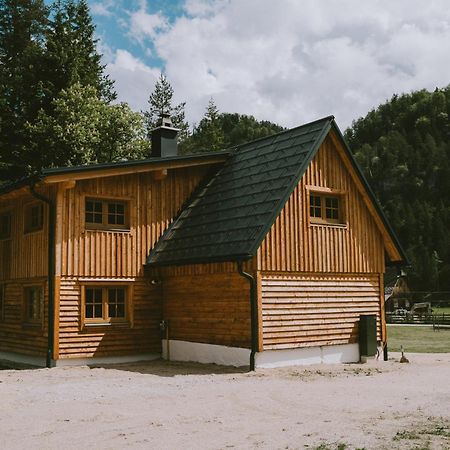 Naturparkresort S'Keuscherl Wildalpen Bagian luar foto